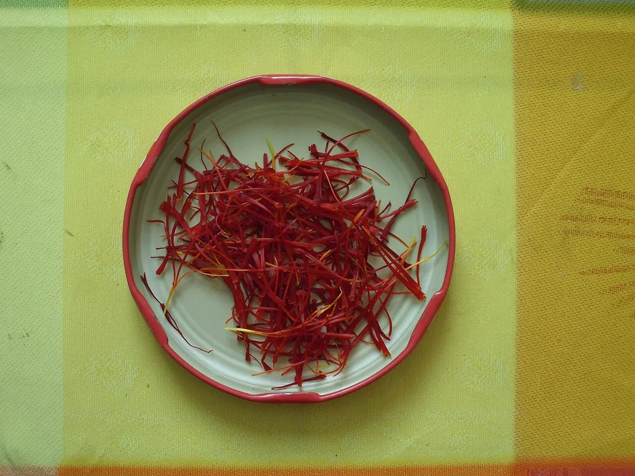 Freshly harvested saffron stigmas